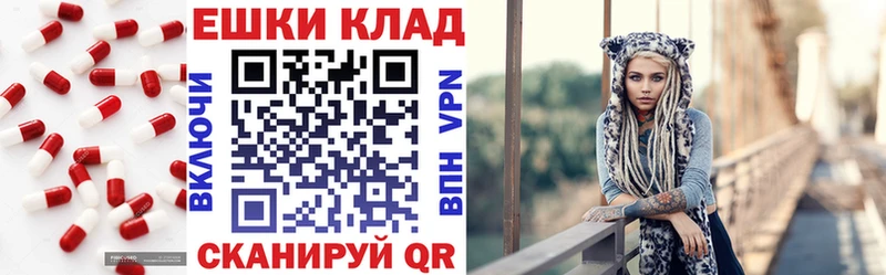 Ecstasy диски как найти закладки Бокситогорск