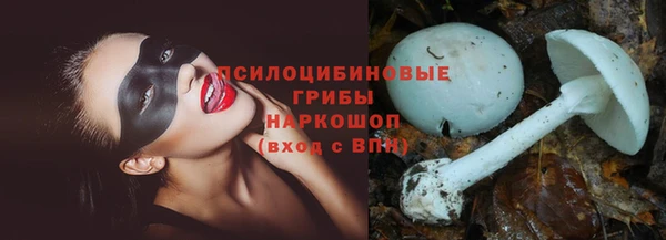 прущие крисы Алексин
