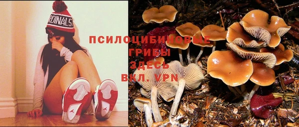 прущие крисы Алексин